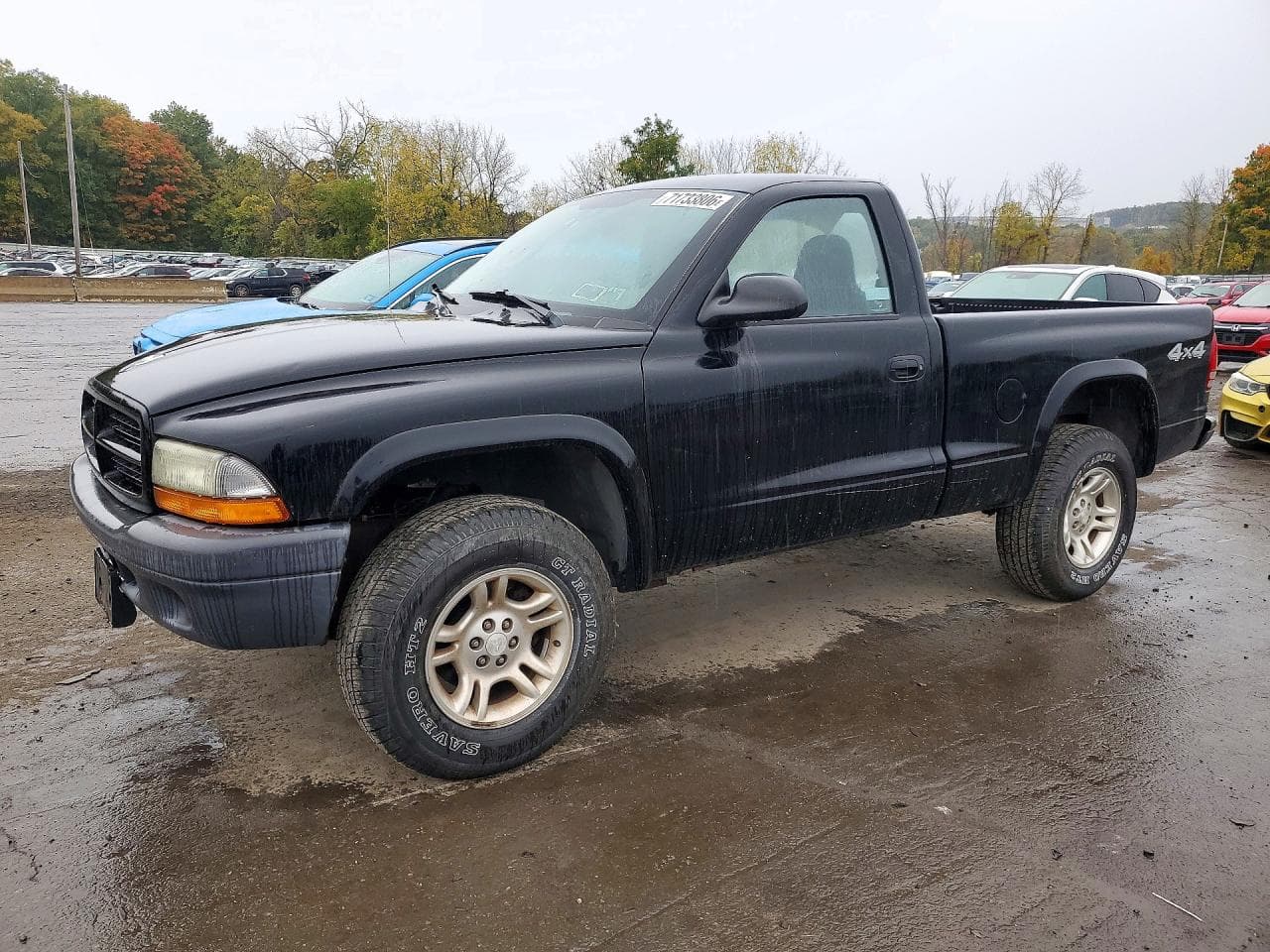 Dodge Dakota 2003 z USA