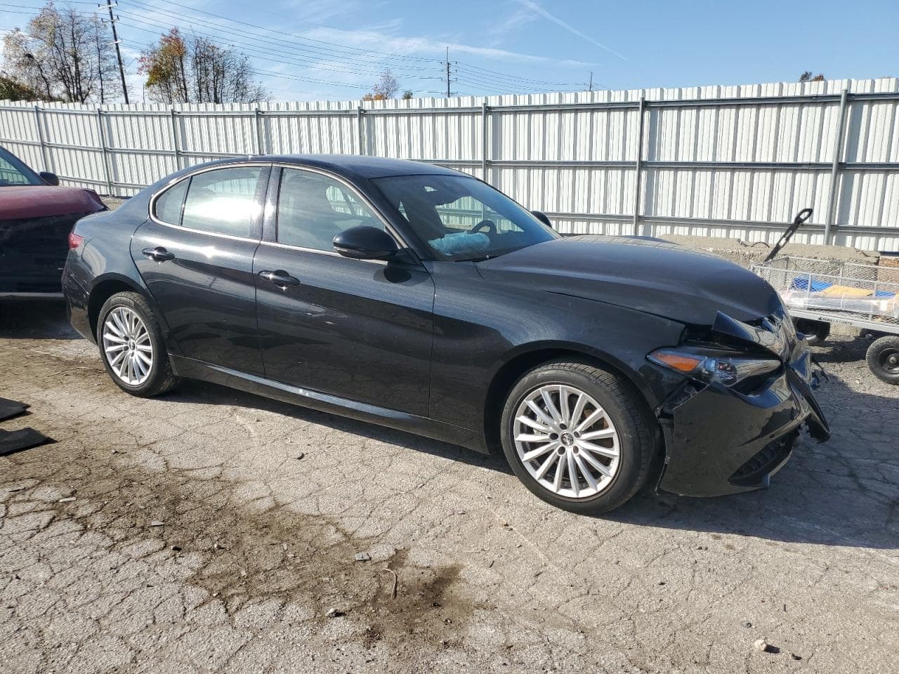 2022 Alfa Romeo Giulia - foto 4