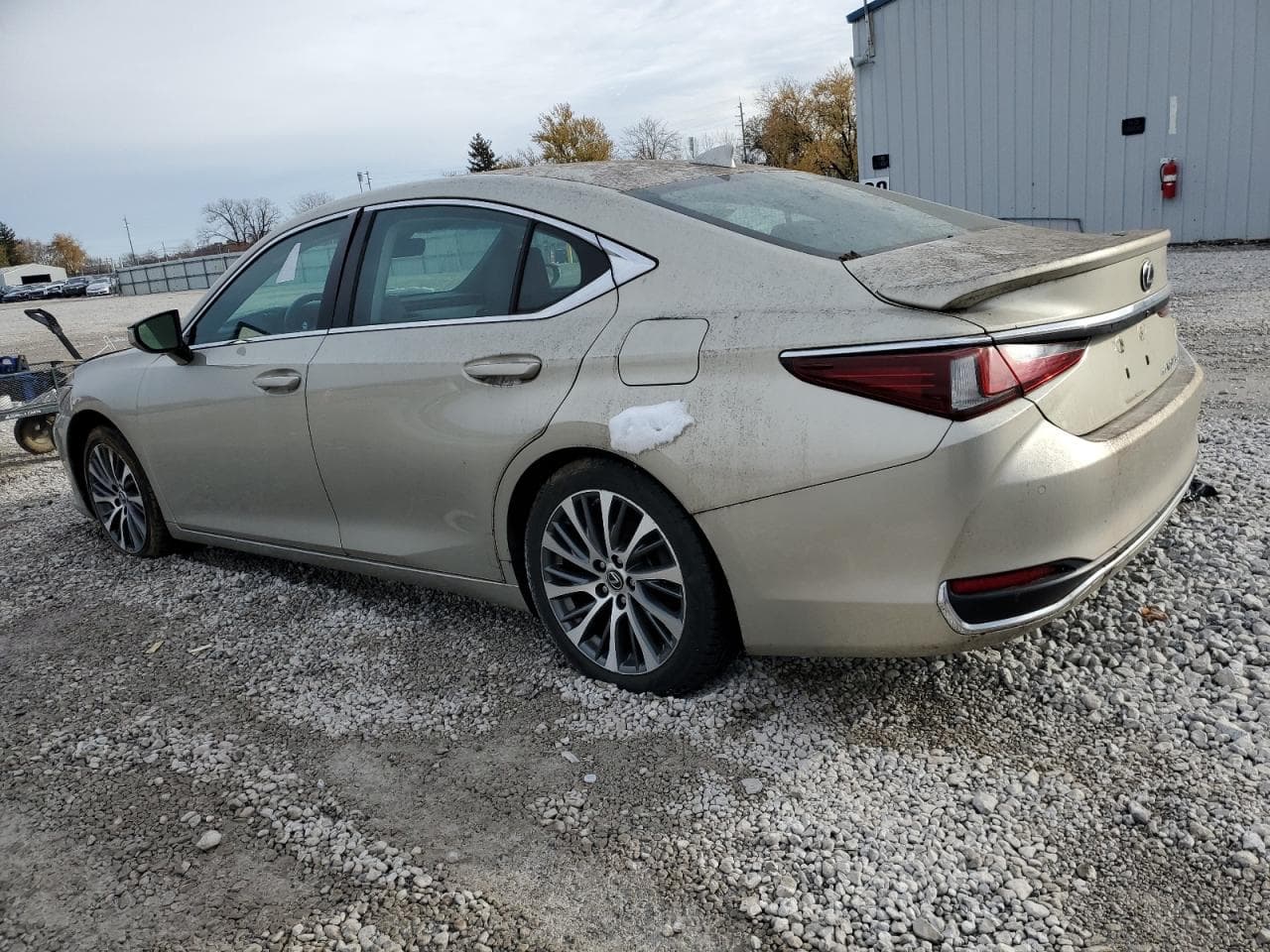 2021 Lexus Es 250 Base - foto 2