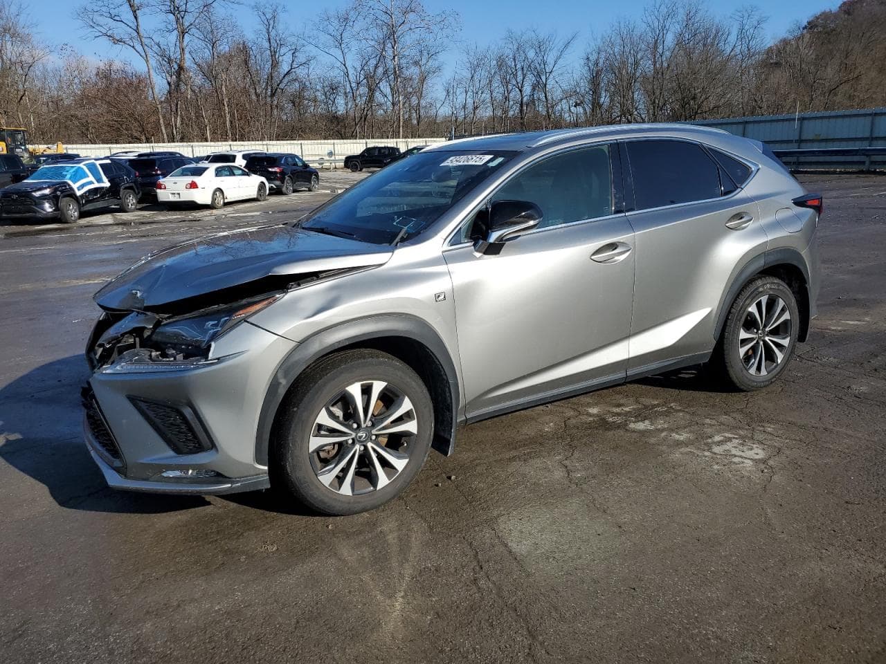 Lexus NX 2020 z USA