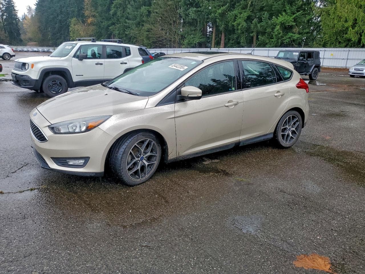 2017 Ford Focus Sel