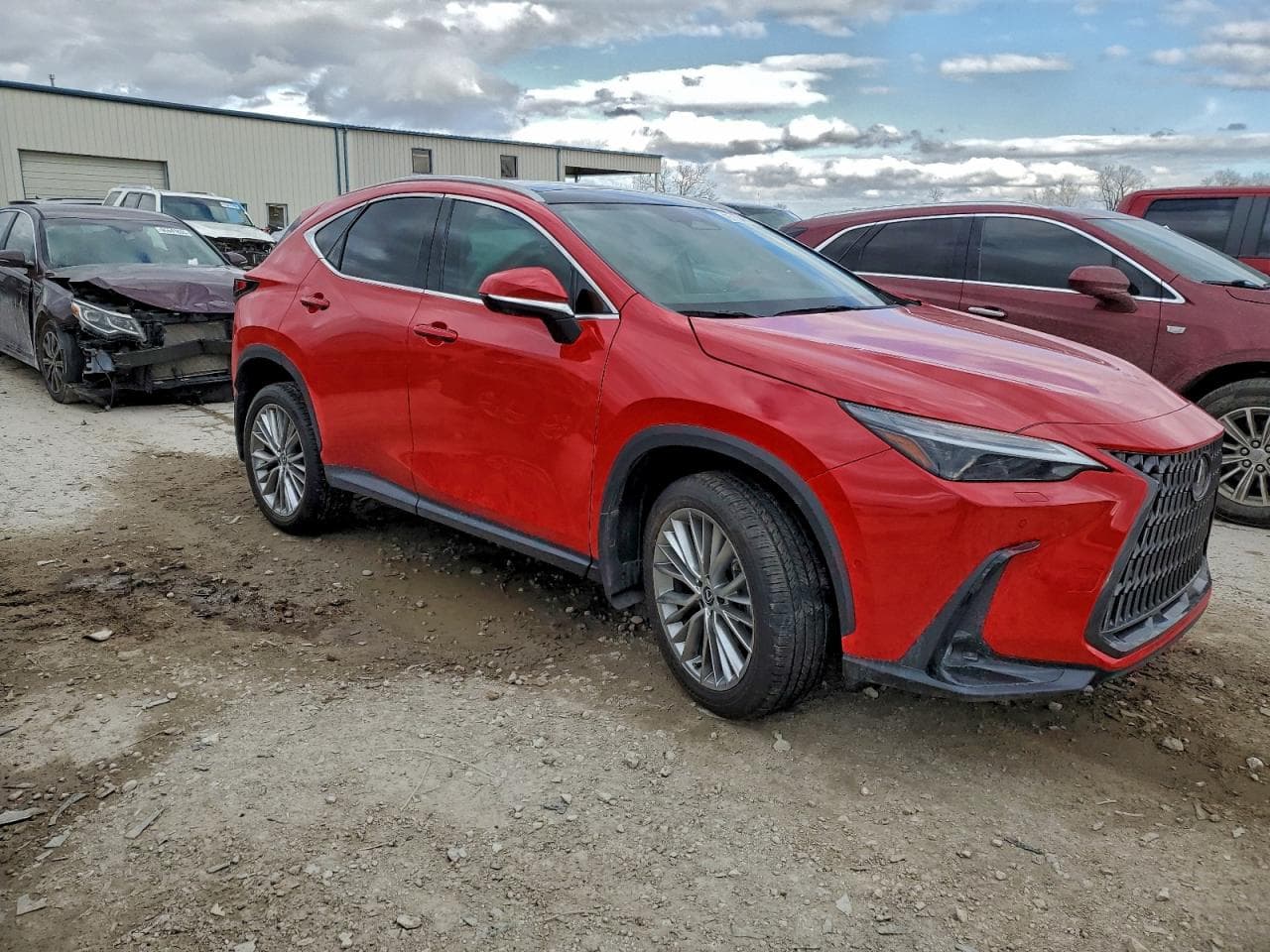 2024 Lexus Nx 350H Base - foto 4