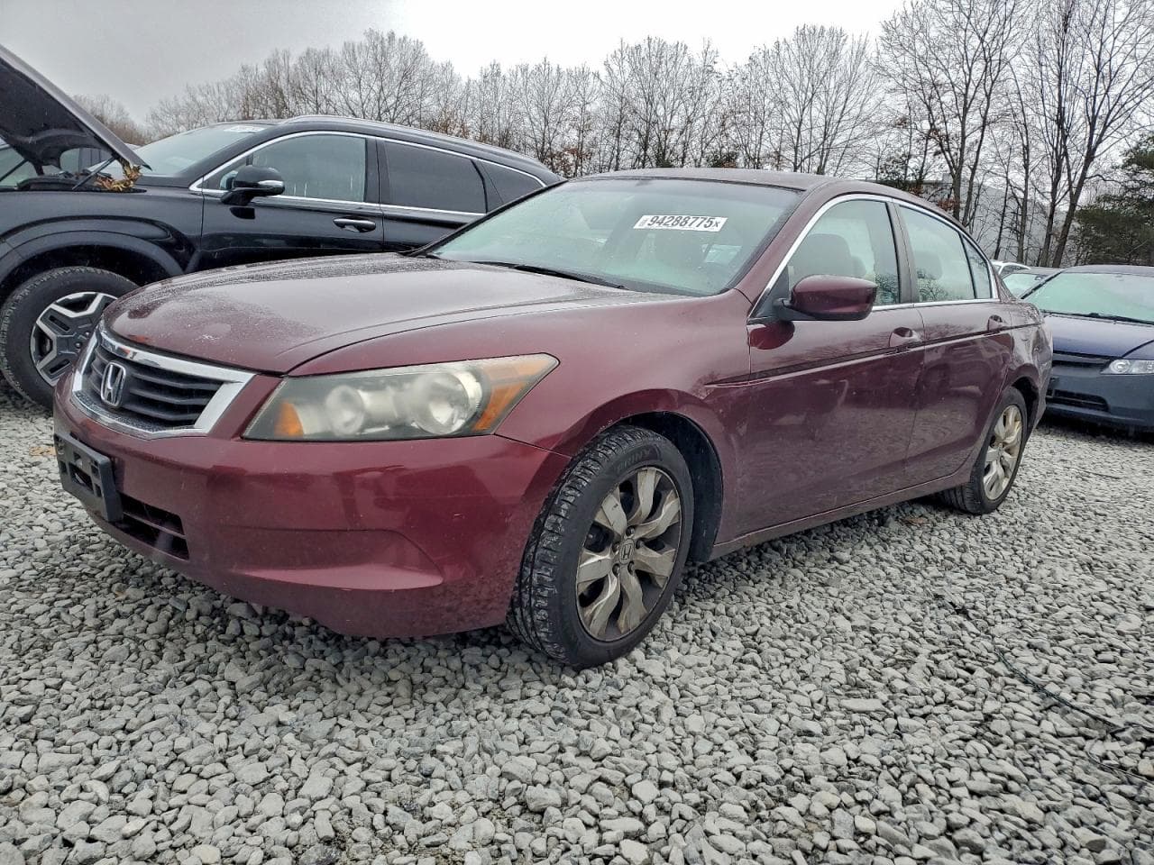2010 Honda Accord Exl
