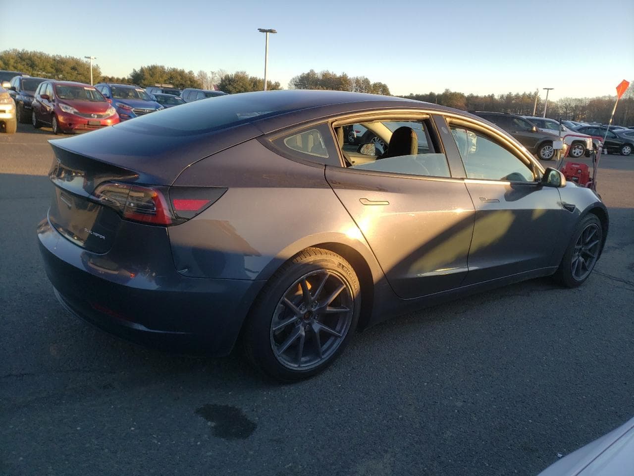 2021 Tesla Model 3 - foto 3