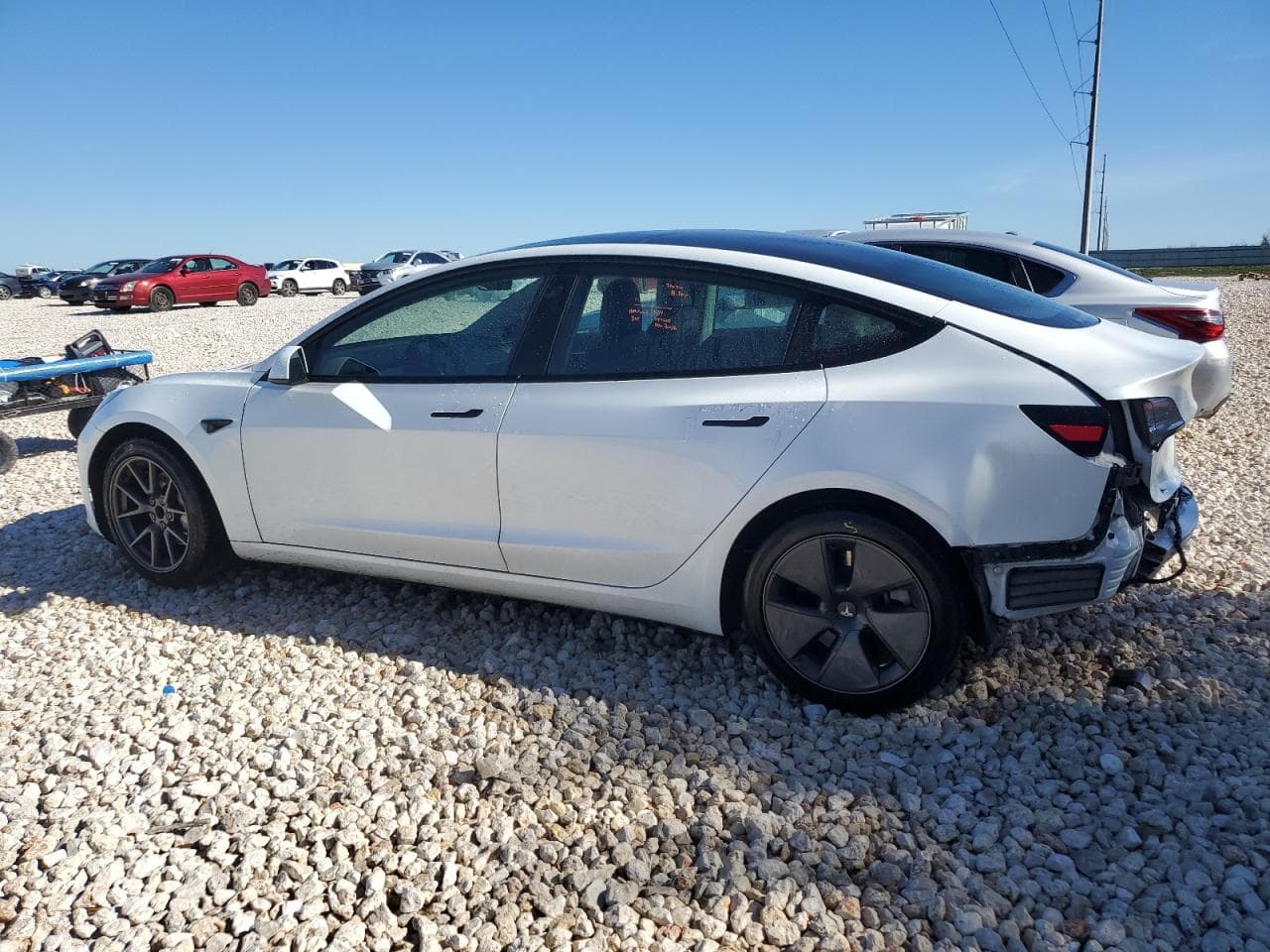 2021 Tesla Model 3 - foto 2
