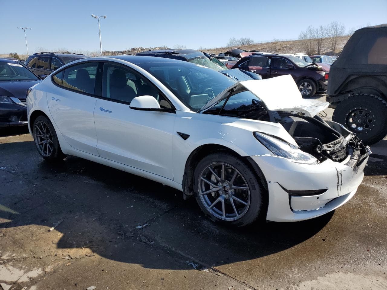2020 Tesla Model 3 - foto 4