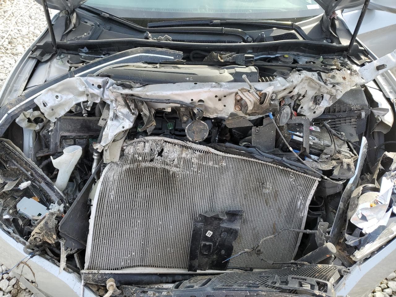 2017 Honda Accord Exl - foto 3