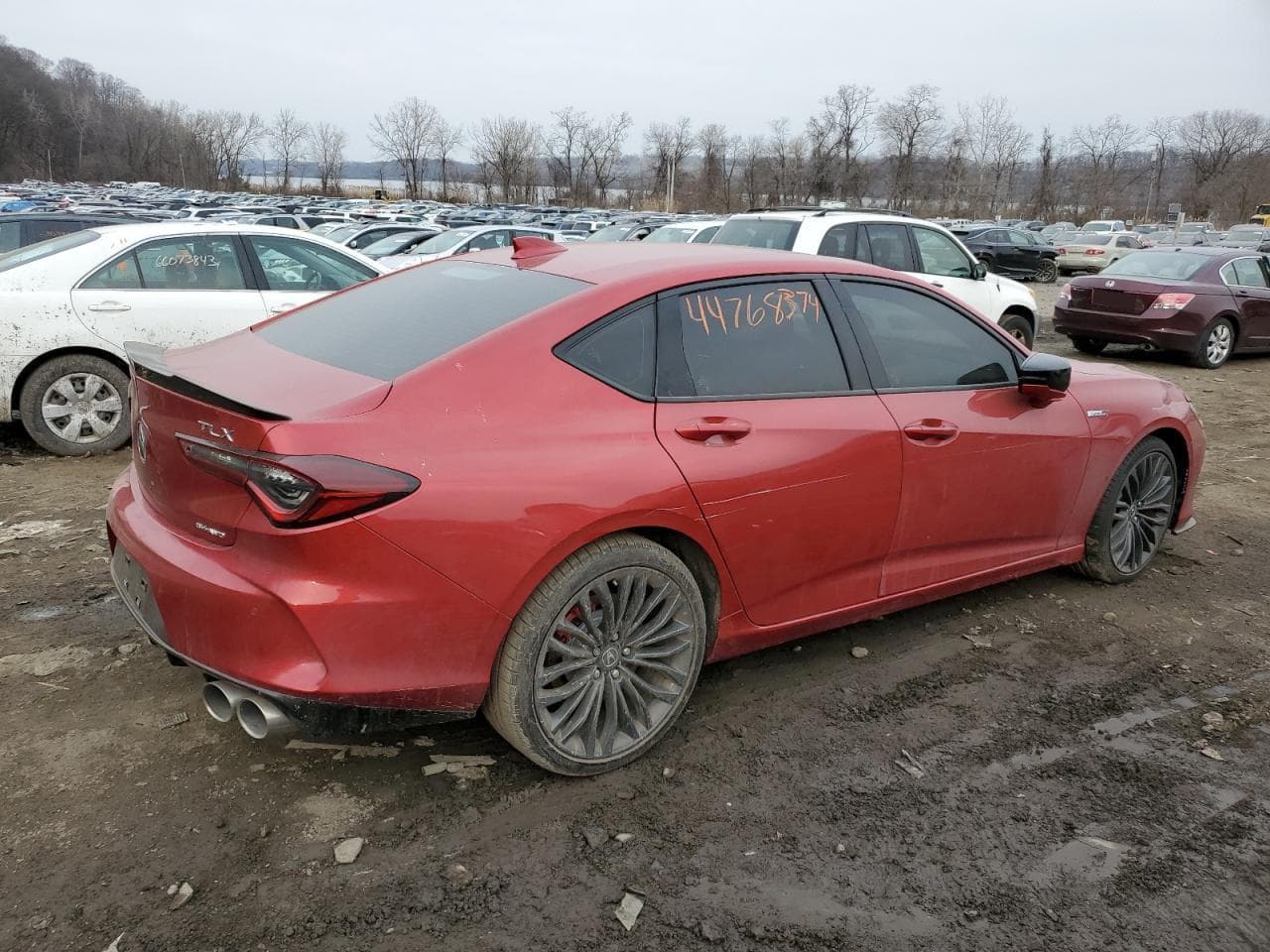 2023 Acura Tlx Type S Pmc Edition - foto 3