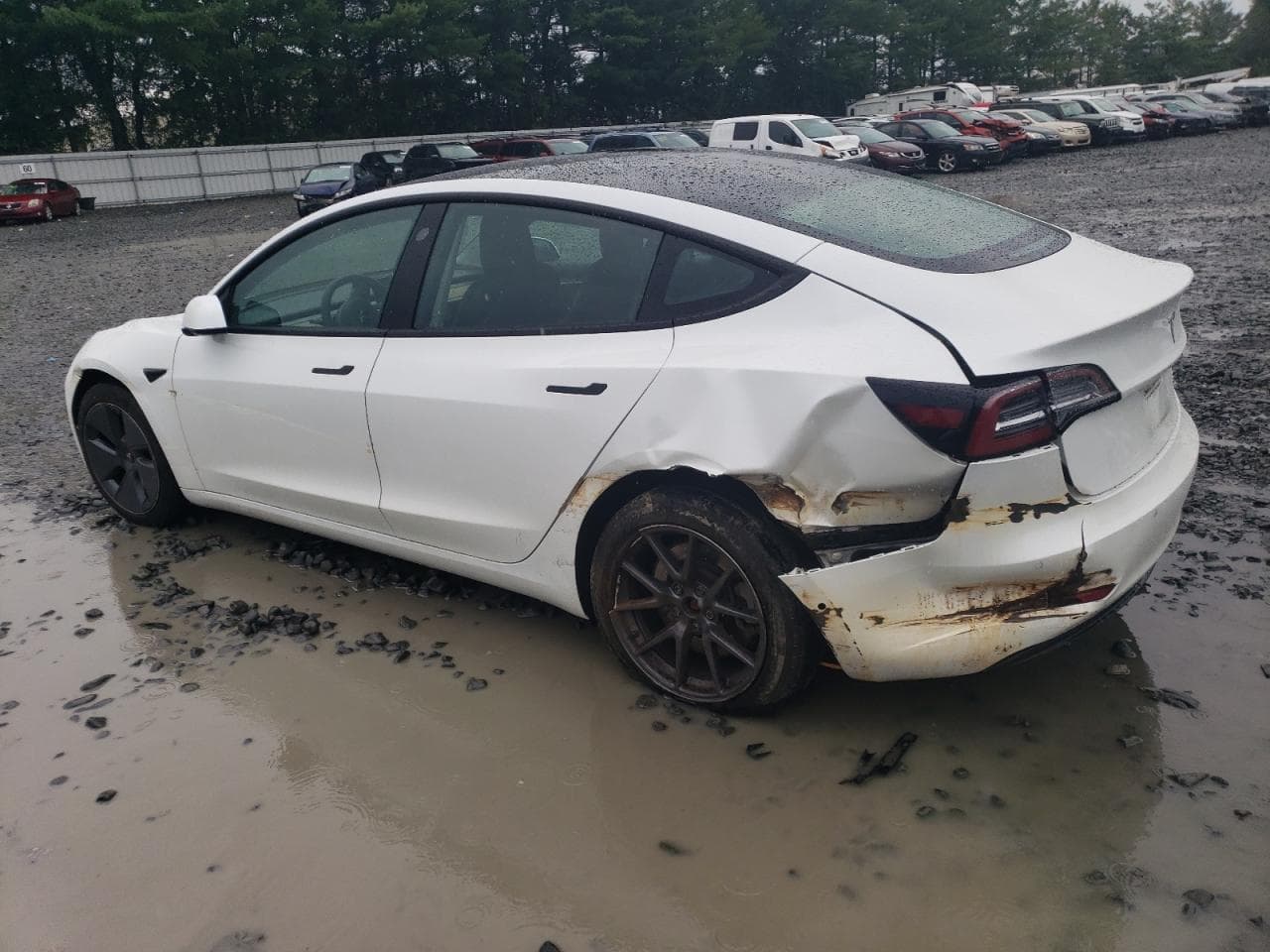 2021 Tesla Model 3 - foto 2