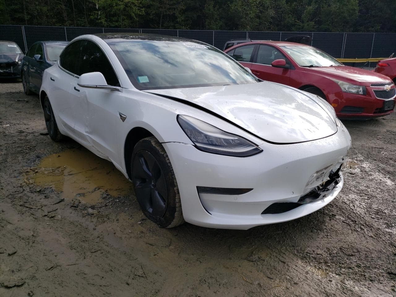 2020 Tesla Model 3 - foto 4