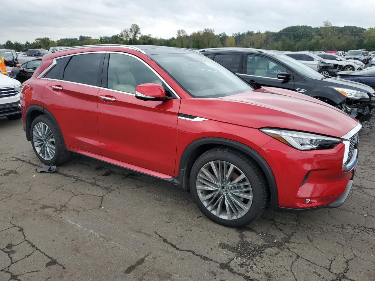 2023 Infiniti Qx50 Autograph - foto 4