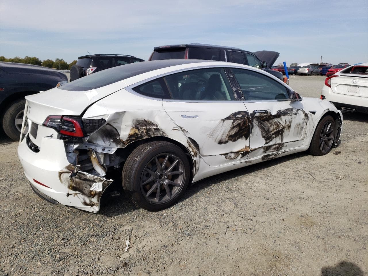 2020 Tesla Model 3 - foto 3