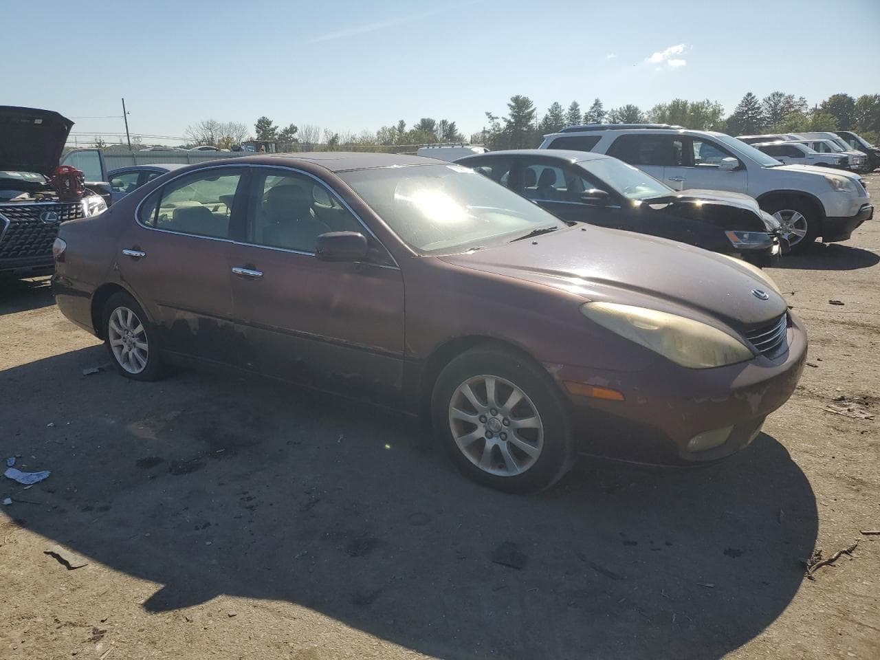 2004 Lexus Es 330 - foto 4
