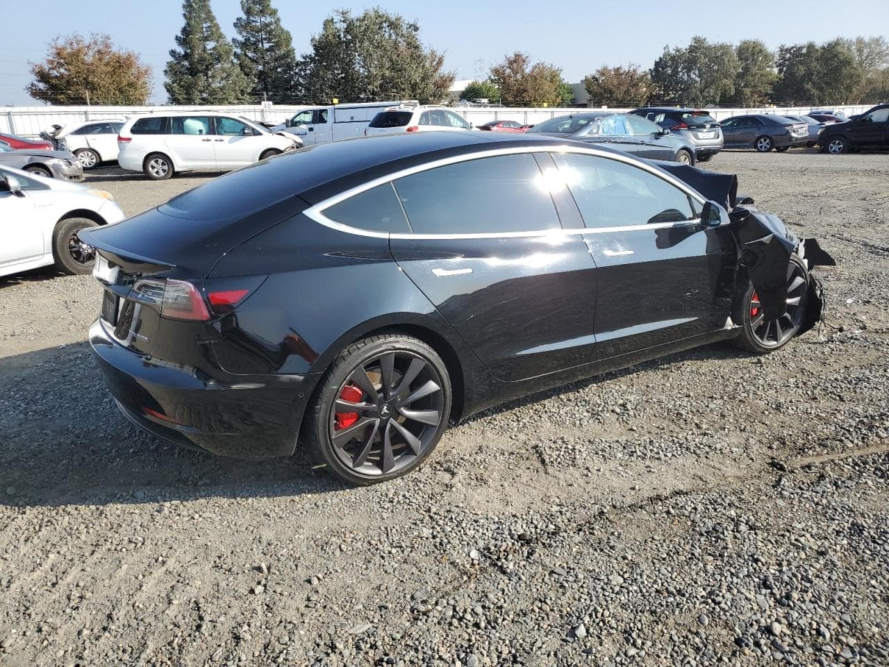 2020 Tesla Model 3 - foto 3