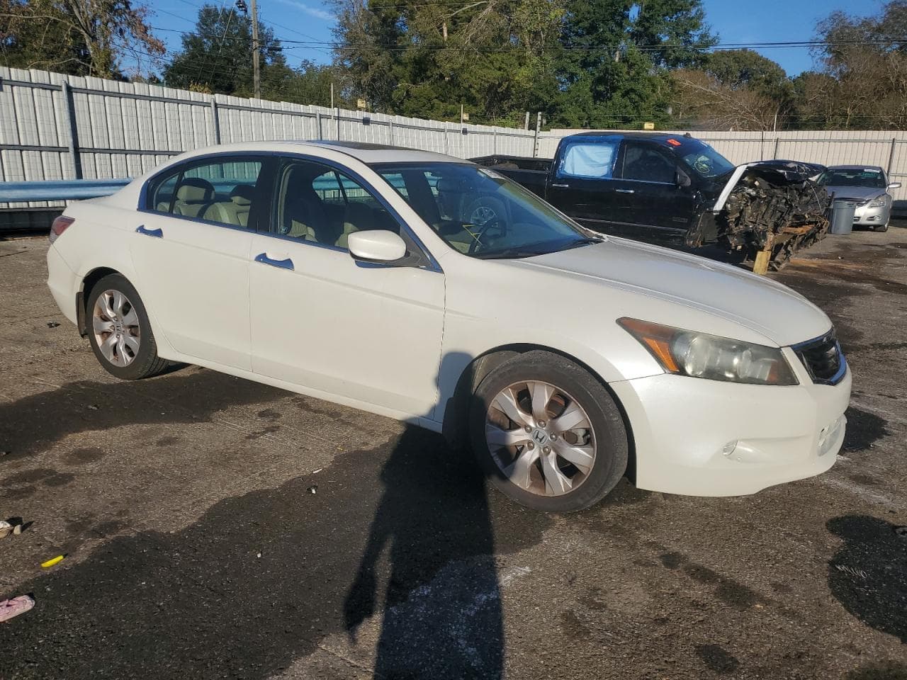 2009 Honda Accord 3.5 Ex-L - foto 4