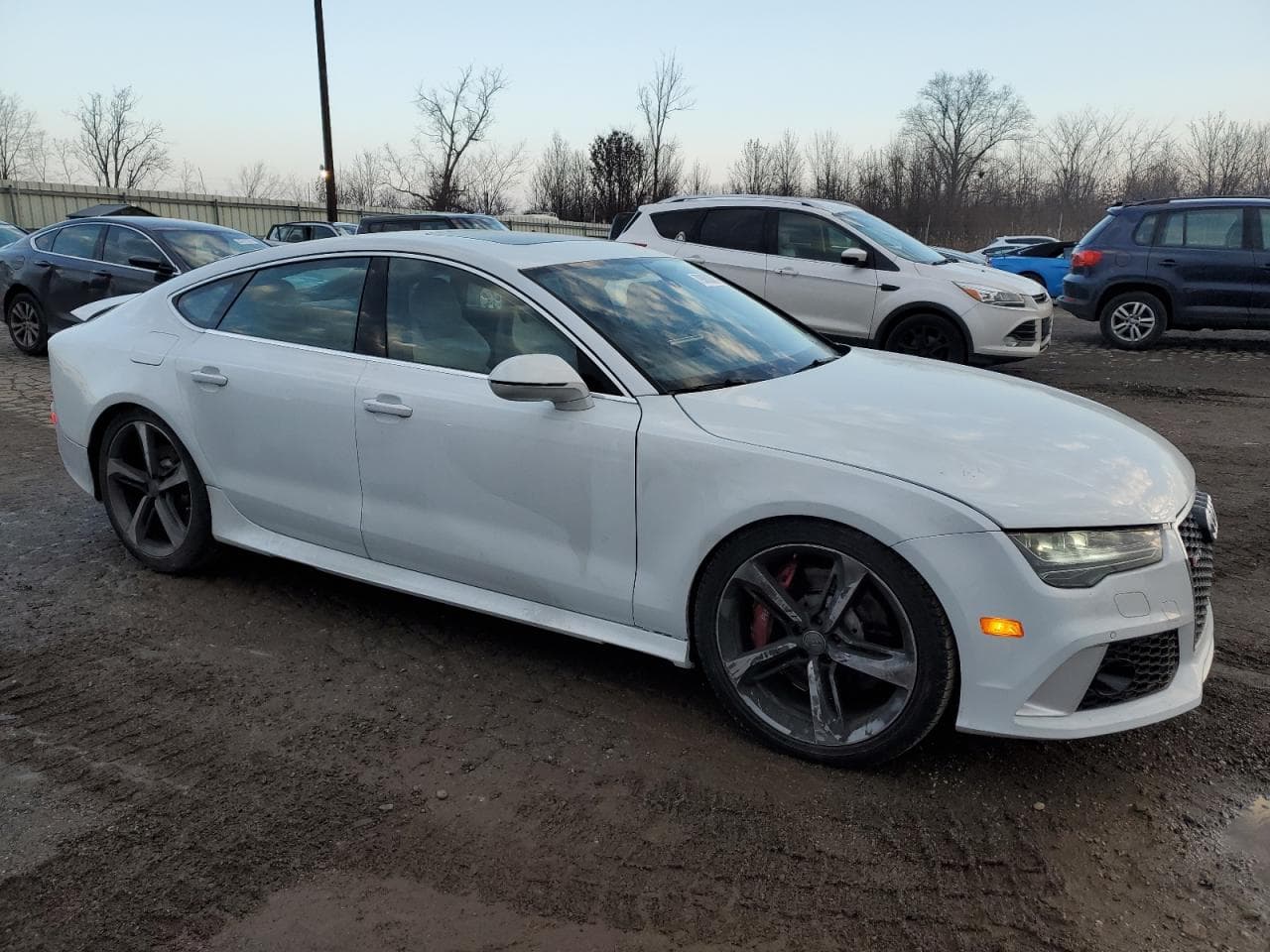 2016 Audi Rs 7 4.0T Prestige - foto 4